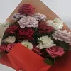 zoeh.101