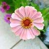 sarahalshehri20