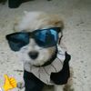 el_cachitos