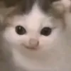 das_war_ein_befehl1