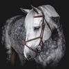 equestrian_edits2903