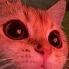 miel_lassuyen07
