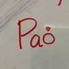 pao1_0_