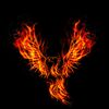 Chrisfenix21