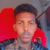 qoryolay7