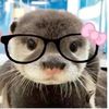 itsyourgirldilatuiquila