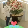 minh.chin7801