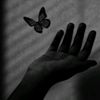 user78036140260137mim