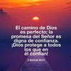 jose.harias1