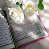 ayaan0284
