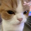 maymyatmon6806