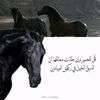 user21159718334247