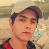 mlpplm12