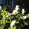 lubaska05