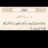 user8116838311185