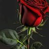 xaliimo.sheikh.ab2