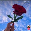 user1581166509875