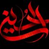 خادم اهل البيت عليهم السلام