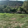 matifaouhar