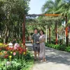 thu.thao0605