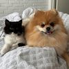 Sofa&Felix