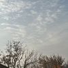 nurasy1i