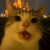 ndraxml03