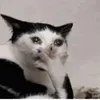 michael_scarn_tlm