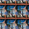 nicole.broncano