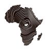 The New African Order