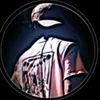 user82800672800277