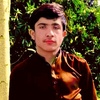 kamran.khan7464