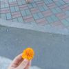 aiz_20001