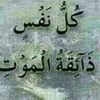 user779617582778