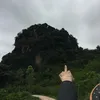 linhchoicay