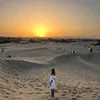 lena_ll6