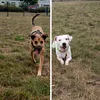 monty_a_roxy