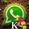 dikhachou598