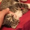 _nasti_36