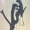 carperpaul