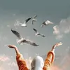 nihad.barhu