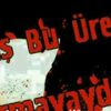 aze_krtoy_2024_