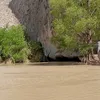 perrosalchica360