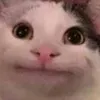 imaguitar_