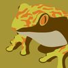 callafrog