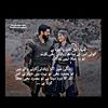 reeshailedits23