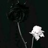 user611088621752