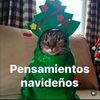 whyustalkingme02