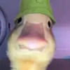 sammygrowagarden