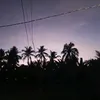 tapchoiappie